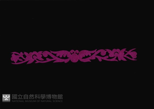 剪紙花藏品圖，第1張