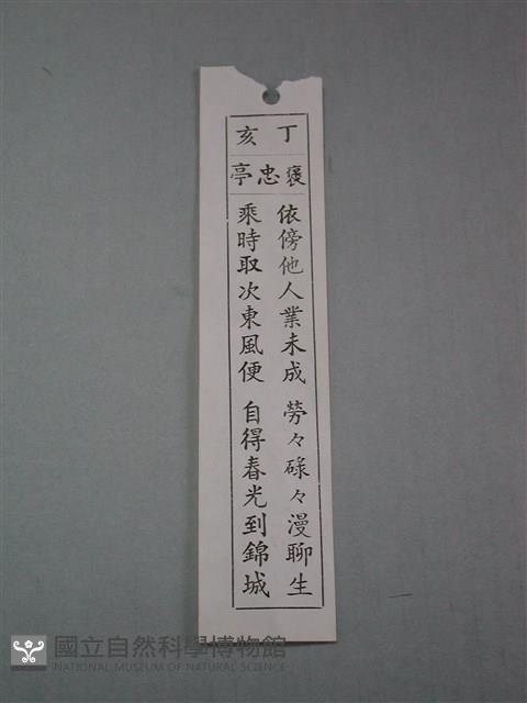 Accession Number:2005004003.0024 Collection Image