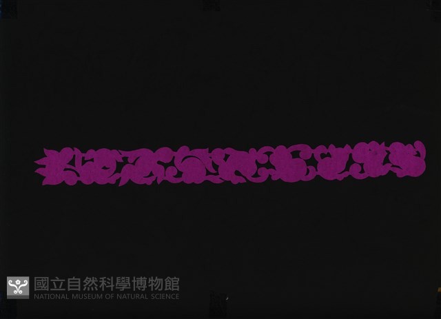剪紙花藏品圖，第1張