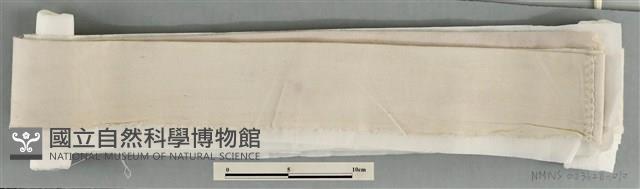 白頭帕藏品圖，第1張