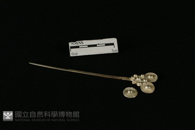 頭花藏品圖，第1張