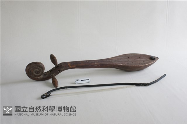 琵琶琴藏品圖，第1張