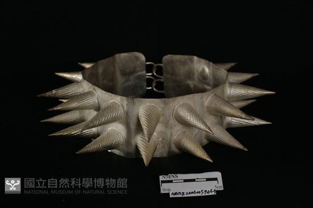 頭花藏品圖，第1張