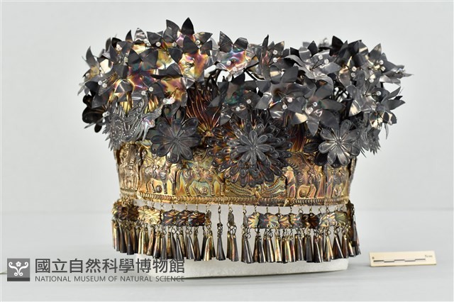 頭花藏品圖，第1張