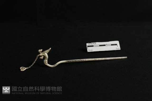 頭花藏品圖，第1張