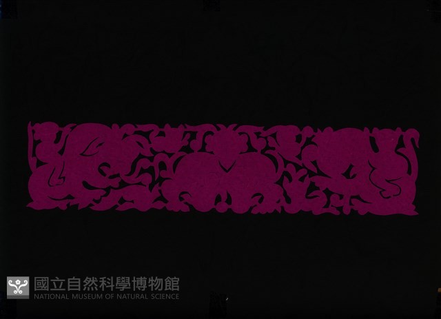 剪紙花藏品圖，第1張