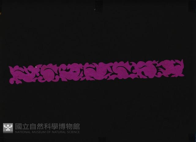 剪紙花藏品圖，第1張