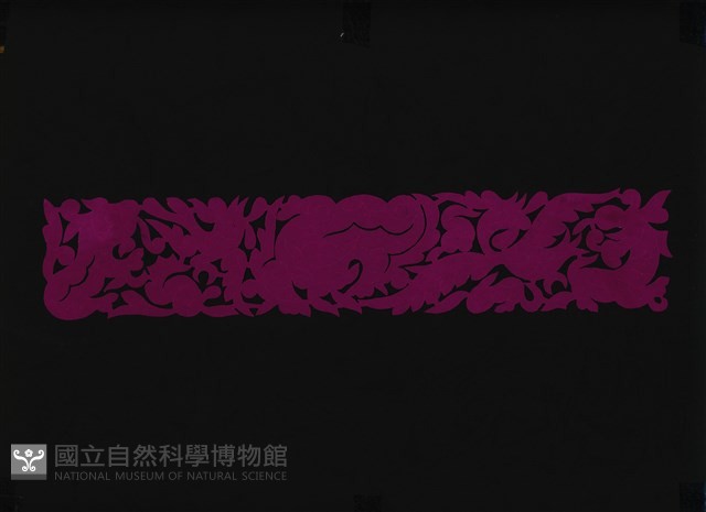 剪紙花藏品圖，第1張