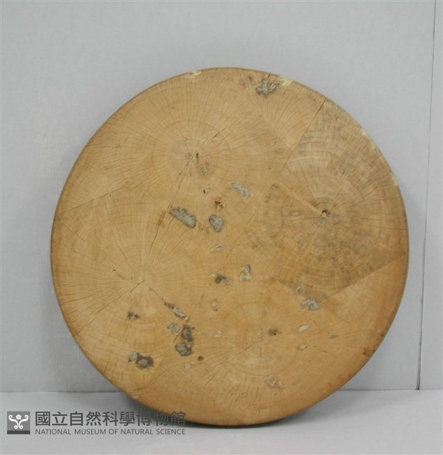 棉斗藏品圖，第1張