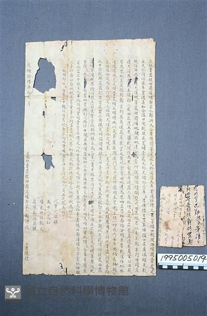 房地買賣契藏品圖，第1張