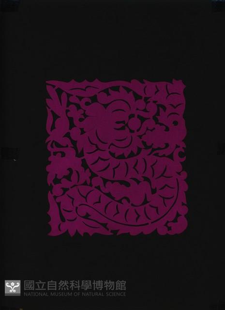 Accession Number:2004001022.0192 Collection Image