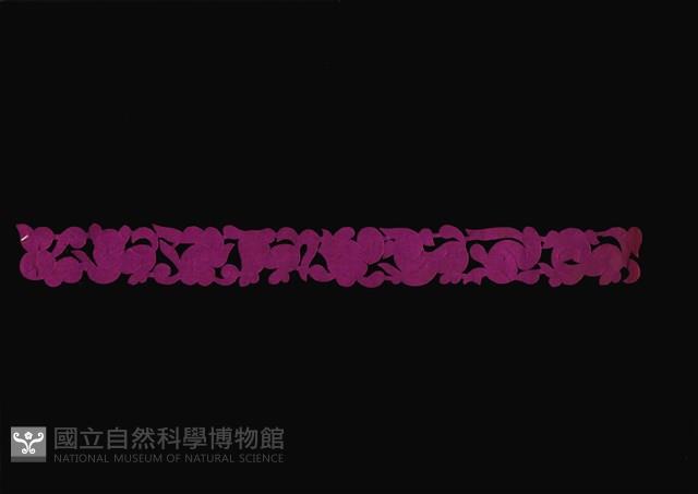 剪紙花藏品圖，第1張