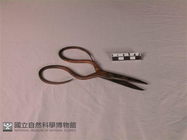 剪刀藏品圖，第1張