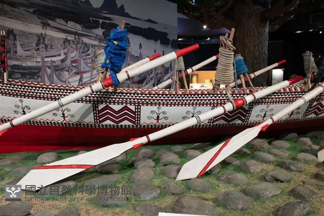 槳藏品圖，第1張