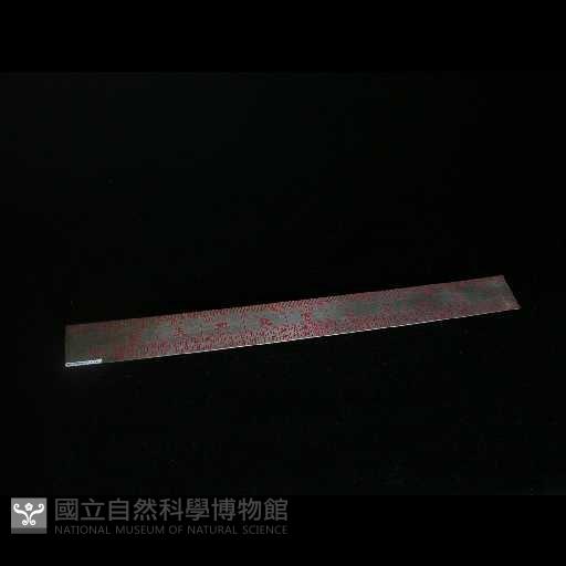 尺藏品圖，第1張