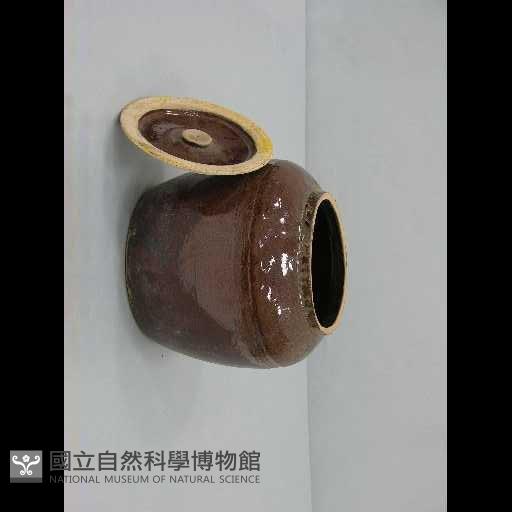 小甕藏品圖，第1張