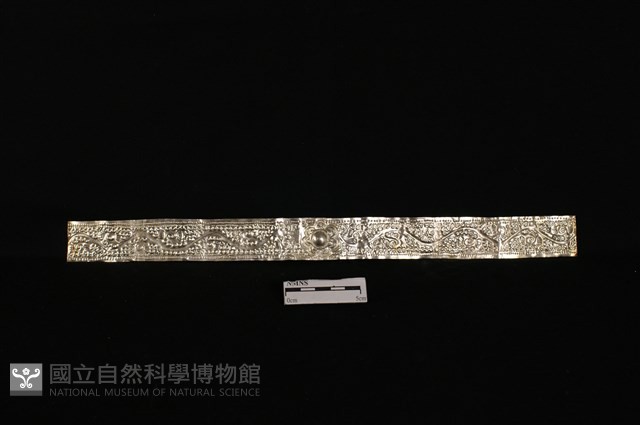 頭花藏品圖，第1張