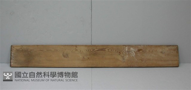 木板藏品圖，第1張