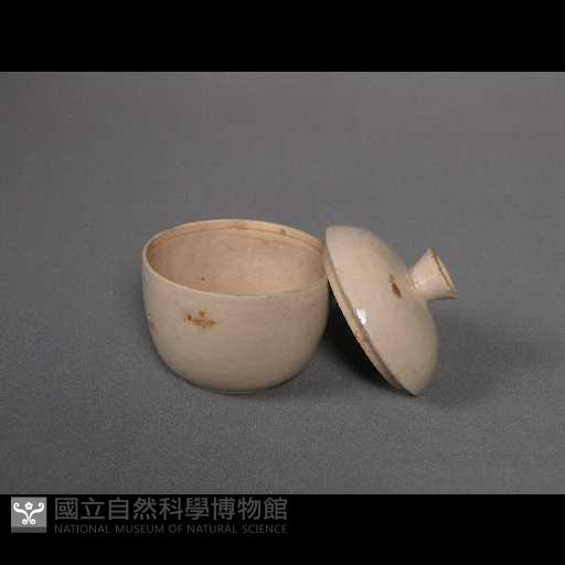 藥罐(蓋)藏品圖，第1張