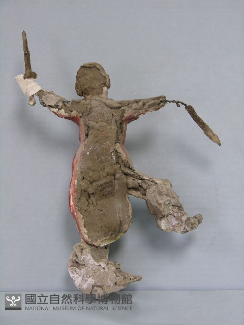 八角斗藏品圖，第180張