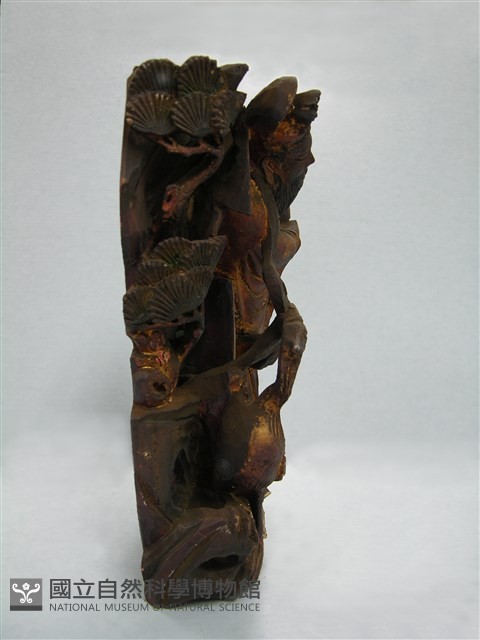 人物藏品圖，第4張