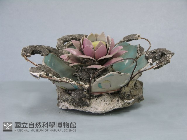 八角斗藏品圖，第196張
