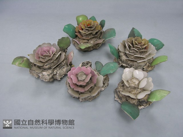 八角斗藏品圖，第199張