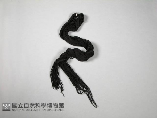 假髮藏品圖，第1張