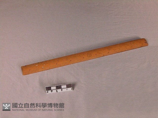 尺藏品圖，第1張
