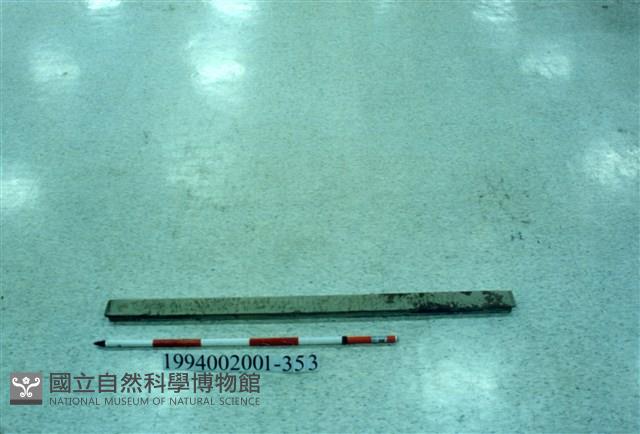 屋宅木構件藏品圖，第1張