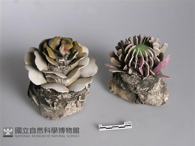 剪黏(花)藏品圖，第1張