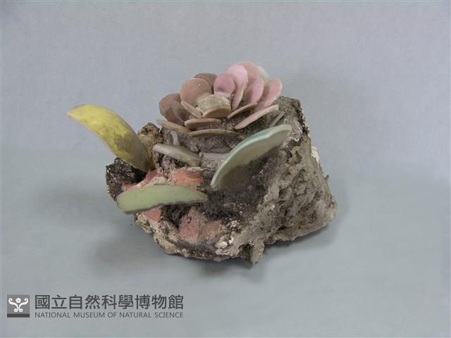 剪黏(花)藏品圖，第1張