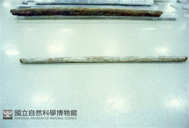 屋宅木構件藏品圖，第1張