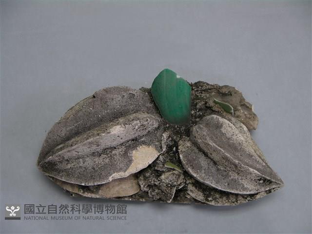 剪黏(楊桃)藏品圖，第1張