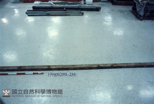 屋宅木構件藏品圖，第1張