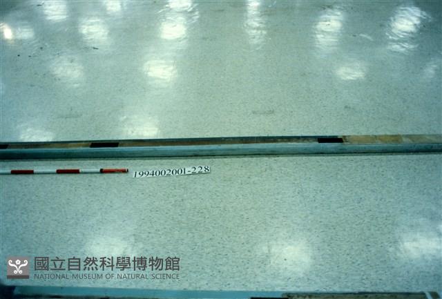 屋宅木構件藏品圖，第1張