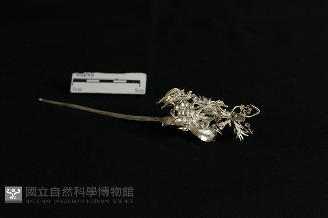 頭花藏品圖，第1張