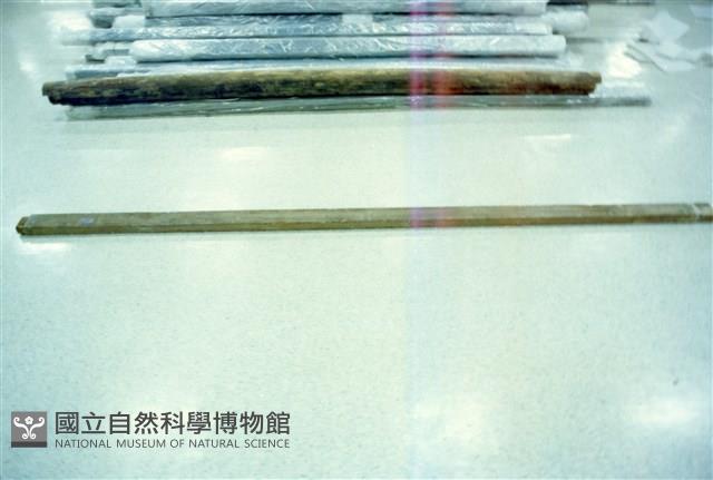 屋宅木構件藏品圖，第1張