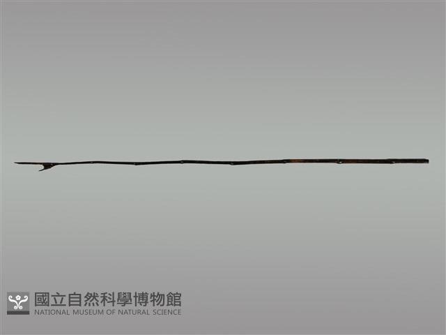 祭桿藏品圖，第1張