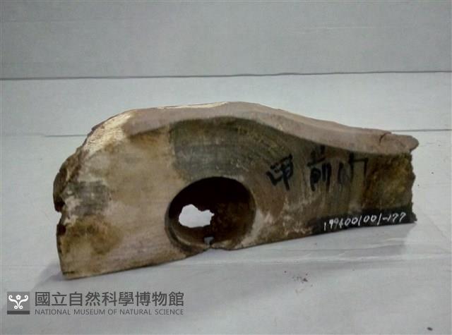 屋宅構件藏品圖，第1張