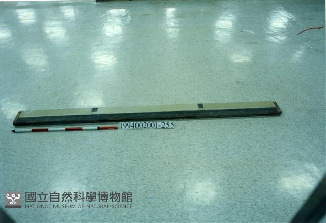 屋宅木構件藏品圖，第1張