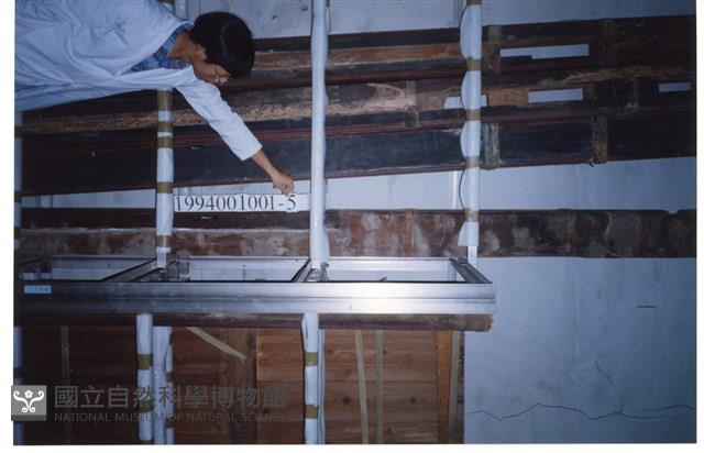 屋宅構件藏品圖，第1張