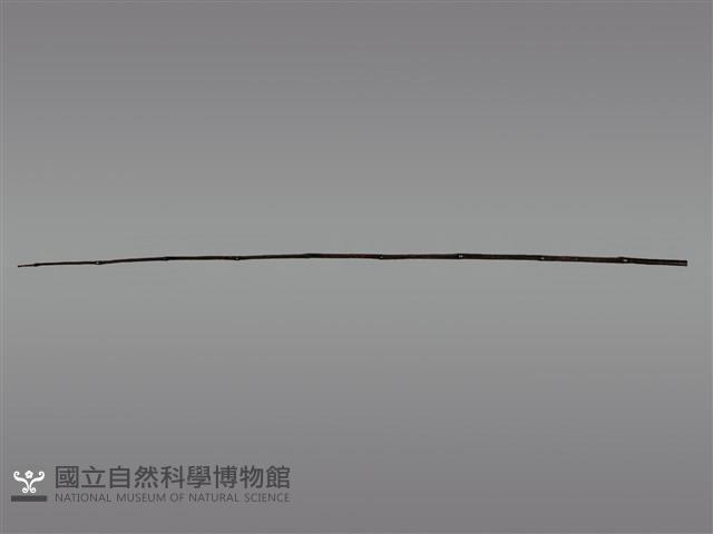 祭桿藏品圖，第1張