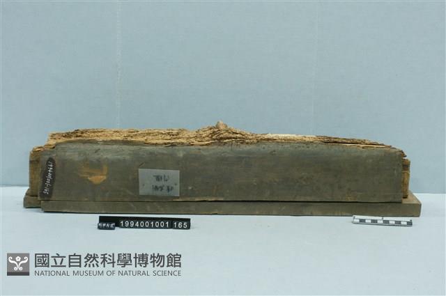 屋宅構件藏品圖，第1張