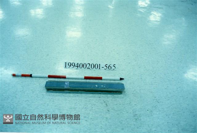 屋宅木構件藏品圖，第1張