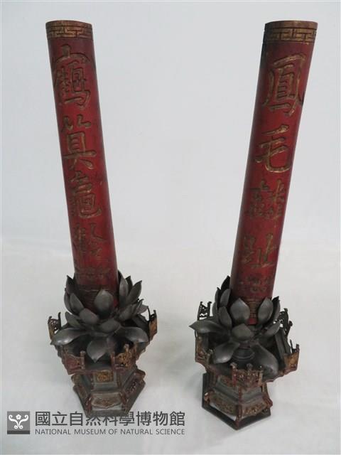 Accession Number:0000003683.0005 Collection Image