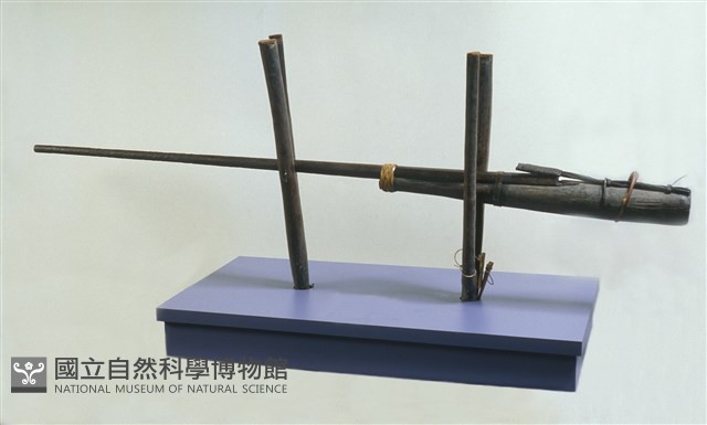 槍(栓)藏品圖，第1張