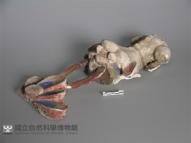 剪黏 藏品圖，第1張