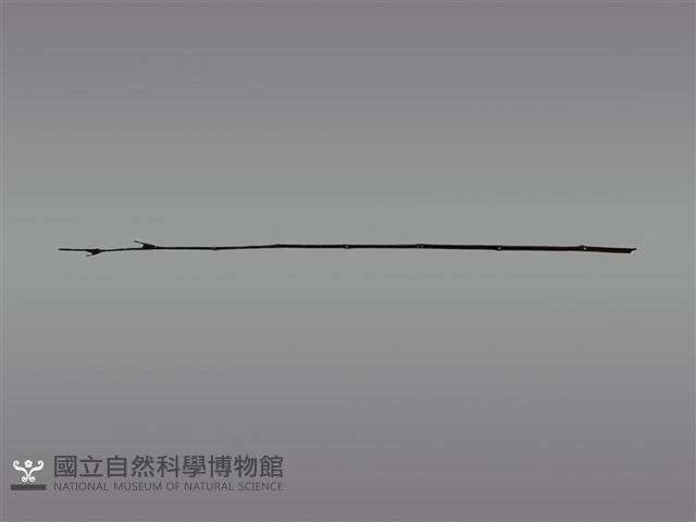 祭桿藏品圖，第1張