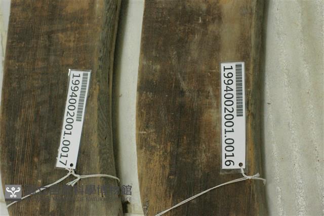 屋宅木構件藏品圖，第1張